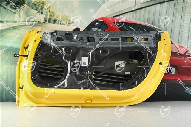 Tür, Carbon, GT3RS / S/T, R