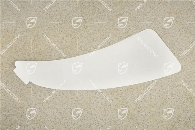 Stone guard decal for side panel, L
