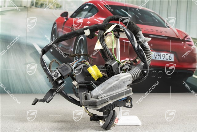 Wiązka elektryczna, drzwi pasażera, R