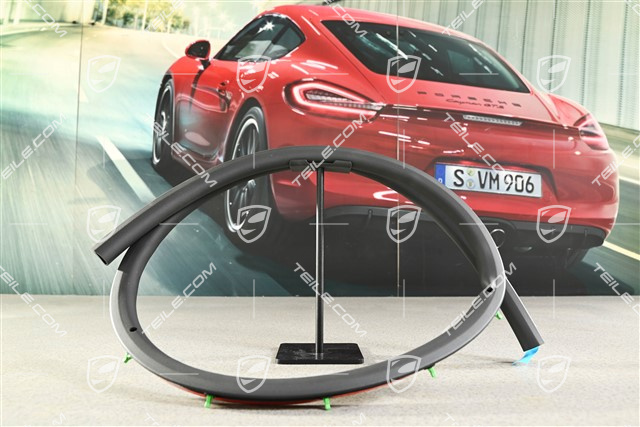 Uszczelka tylnych drzwi, zewnętrzna, R