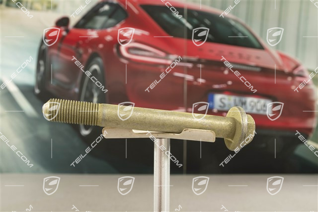 Śruba z łbem sześciokątnym wahacza tylnego