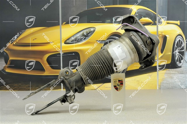 Federbein, komplett, V6 3.2L 177KW, L Federbein, komplett, V6 3.2L 177KW, L