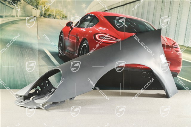 Kotflügel, GT2 RS / GT3 RS Facelift 10-, L (beschadigt)