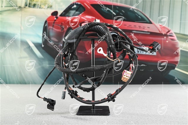 Leitungssatz / Kabelstrang Heckklappe, L