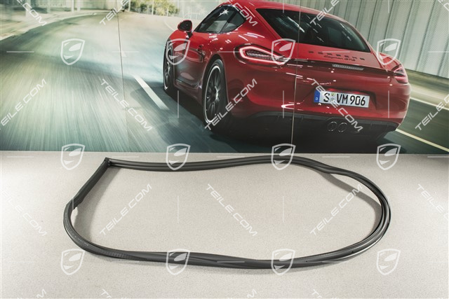 Türdichtung, Karosserie, Coupe / Targa, L