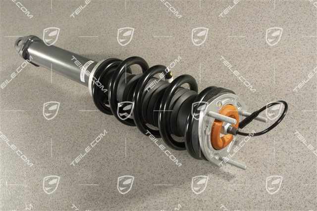 Stossdämpfer / Schwingungsdämpfer, Hinterachse, Komplett