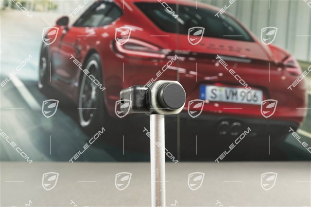 Sensor ParkAssist, GTS