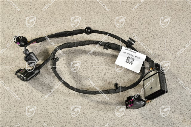 Front bumper Wiring harness / Electric loom, R