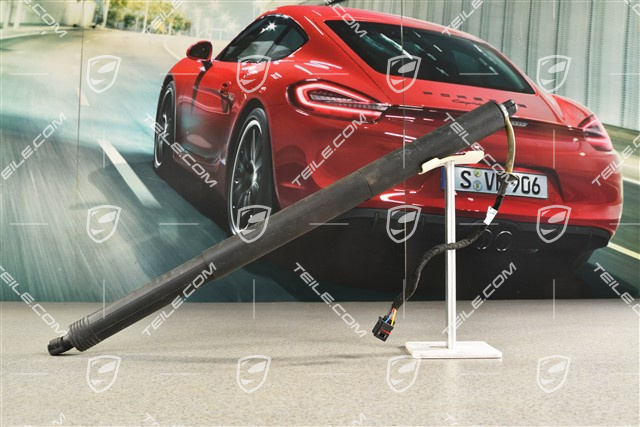 Siłownik klapy tył / pokrywy bagażnika / opcja Powerlift