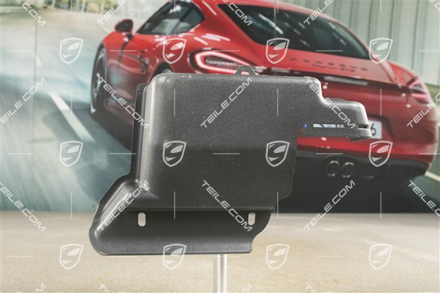 Verkleidung für PSM, C2