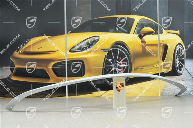 Spoilerlippe Aero Kit CUP II