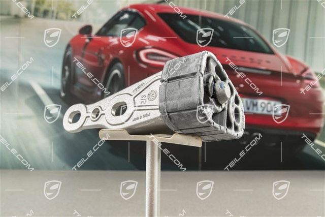 Bracket - rear exhaust muffler