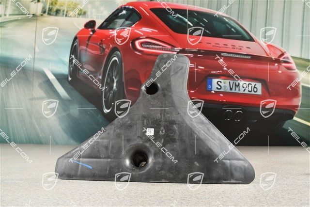 Spoiler für Lenker, unten, R