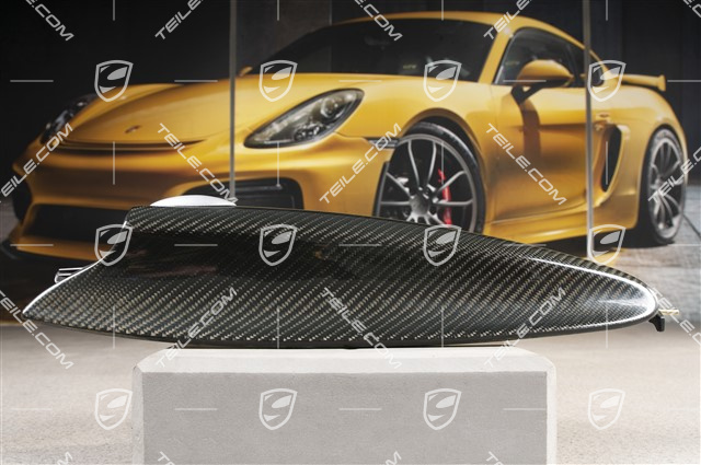 Türverkleidung, Deckel, Carbon, R