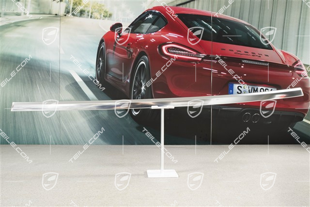 Listwa aluminiowa tylnych drzwi, L
