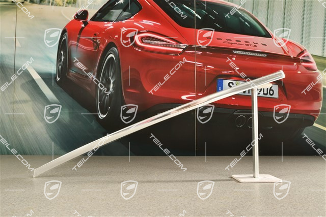 Trim strip / moulding / door shaft incl. seal, rear, Galvano silver, R