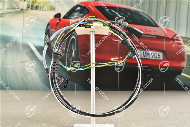 Wiring harness / Electric loom for ABS, R