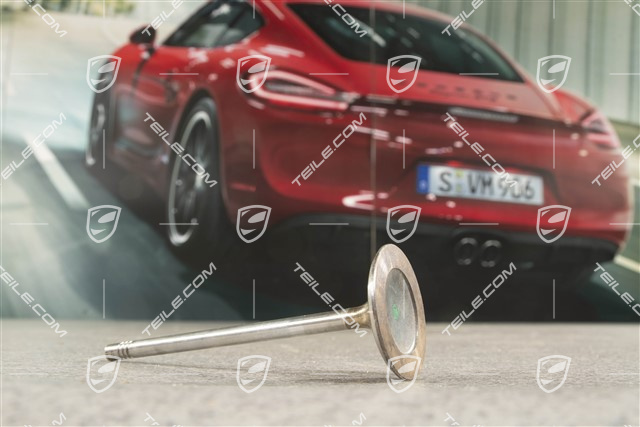 Intake valve 4,5L 250/331kW