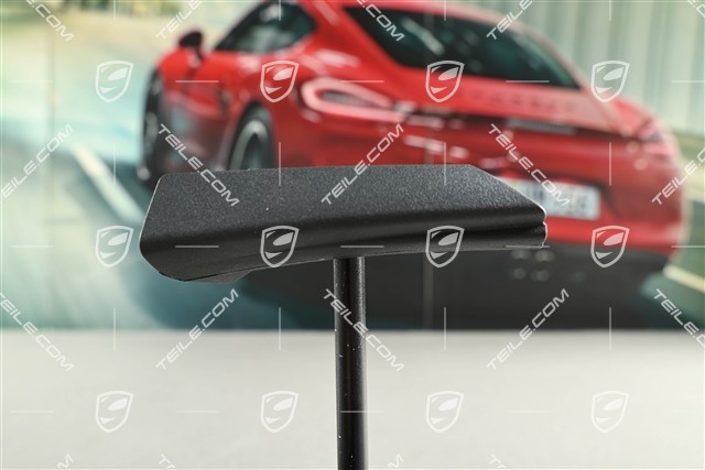 Stufenbruecke, Targa / Cabrio, R