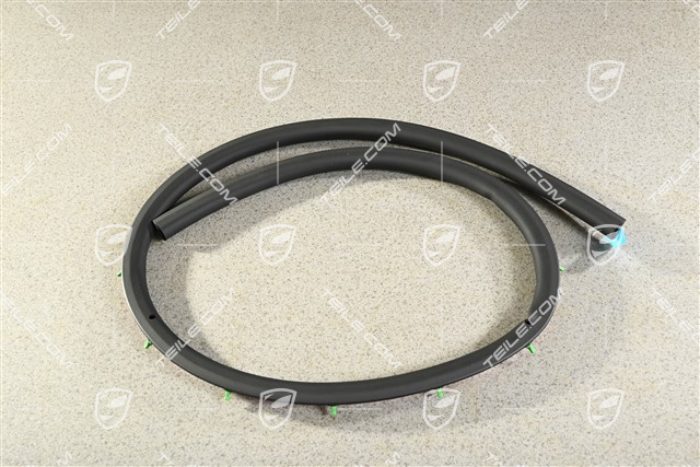 Uszczelka tylnych drzwi, zewnętrzna, R