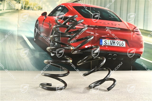 C2 / GTS, Schraubenfeder, VA, PASM / PDCC, Kennzeichnung Lichtblau / Braun, Satz, L+R