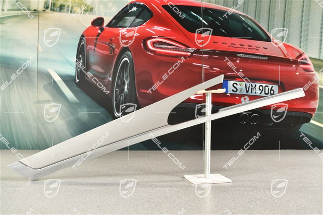 Blende, Tür, hinten, Aluminium gebürstet, L