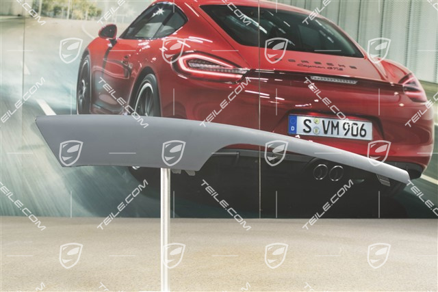 Front bumper disc / trim, lacquered, upper, R