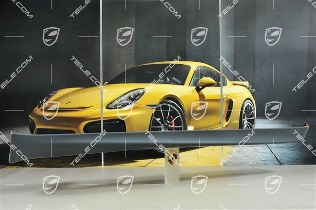 Schwellerblende, AeroKit / GT3, R