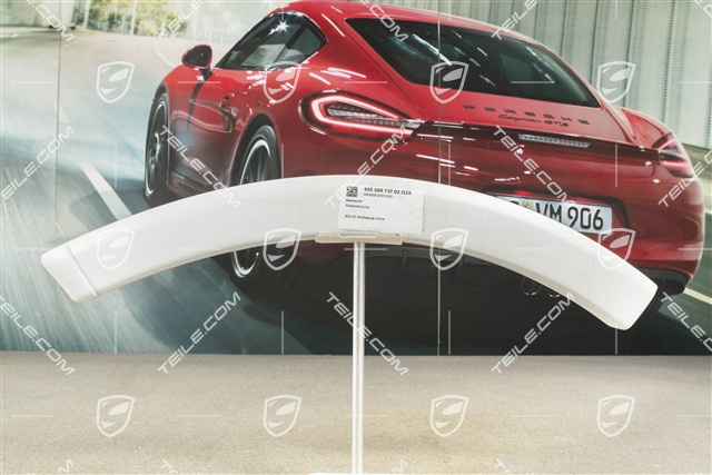 Wheel cover, door, rear, Lazquered, L