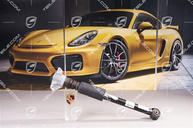 Schwingungsdämpfer, Standard, komplett L=R