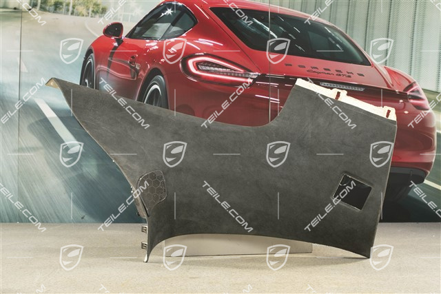 Verkleidung von D-Säule, Alcantara Schwarz, Bose, L