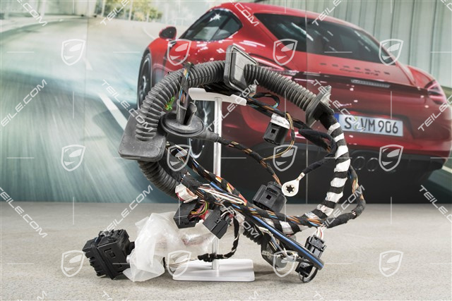 Wiring harness, Assembly frame, driver's door, L