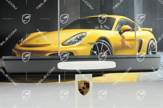 Einstiegleiste "Carrera 4S", L=R
