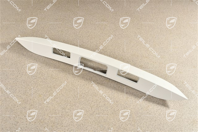 Tailgate handle housing / license plate light housing