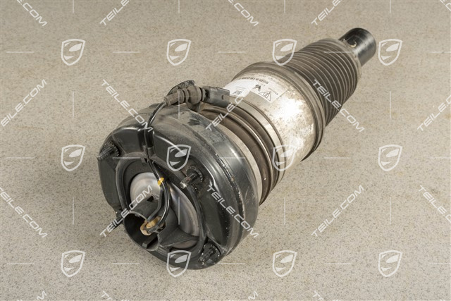 GTS, Stossdämpfer / Schwingungsdämpfer, VA, Luftfederung, L=R