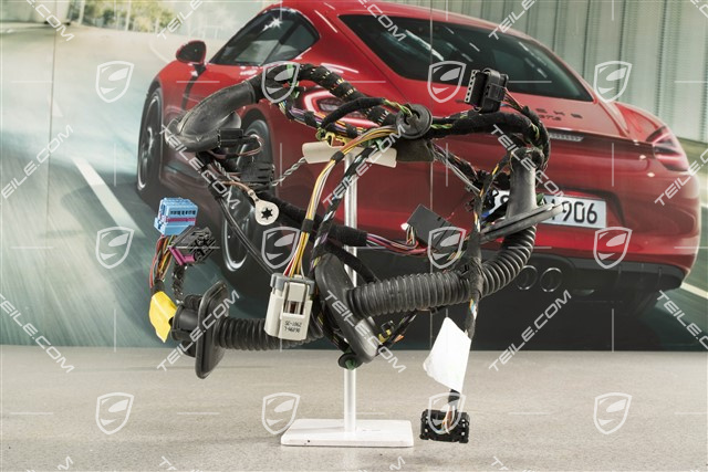 Kabelstrang Beifahrertür, Fensterheber, soundpaket Bose, R