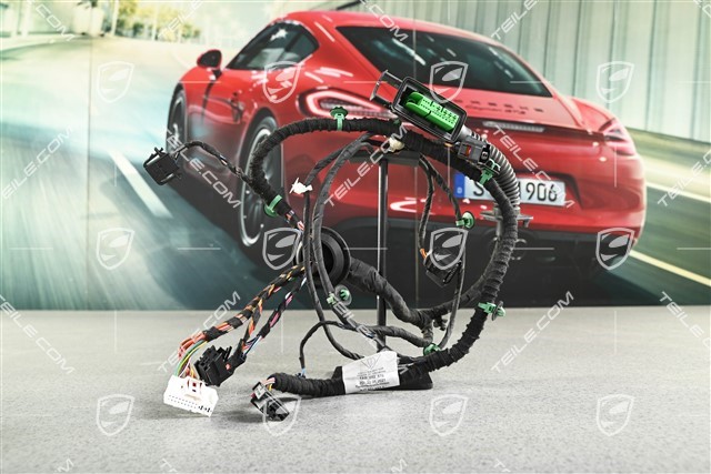 Kabelstrang Hintertür, L=R