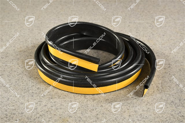 Windshield gasket