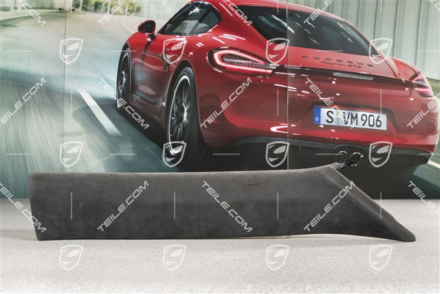 Verkleidung von A-Säule, Alcantara, Schwarz, Coupe, R