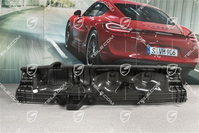 Hutablage / Rückwand, Verkleidung, Heckscheibenwischer Paket, Schwarz