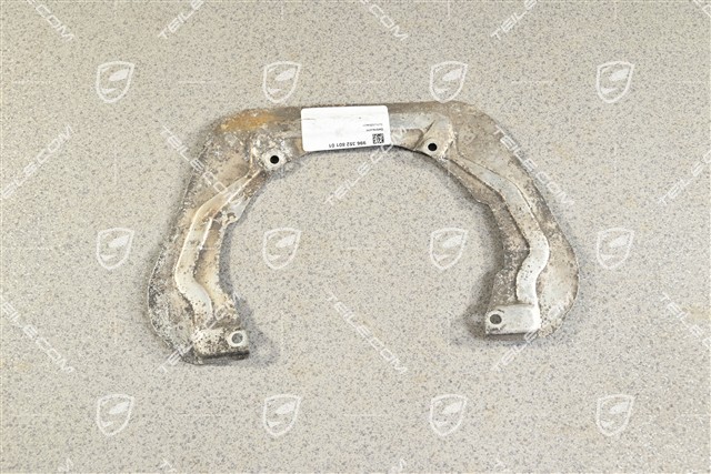 Protective plate, C2/C4, L=R