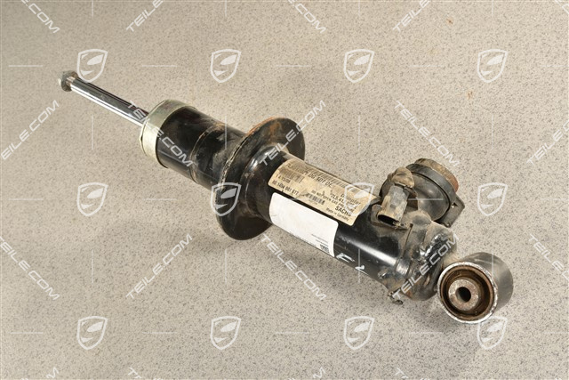 Stossdämpfer / Schwingungsdämpfer, HA, PASM / V8, L