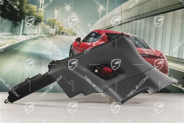 Seitenwandverkleidung, hinten, Leder, Schwarz, Coupe, L