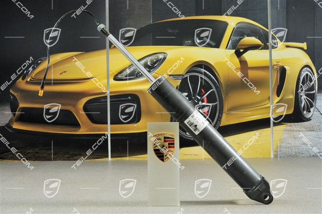 Stoßdämpfer, Turbo, Coupe/Cabrio, L=R