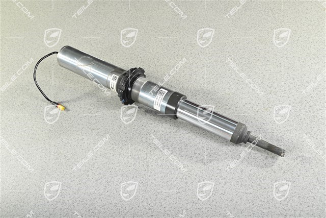 Schwingungsdämpfer, PASM, Hinterachse, GT4, L=R