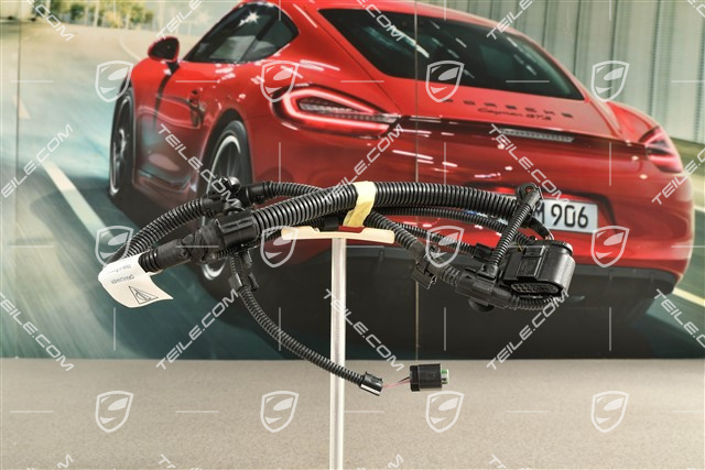 4 GTS / Turbo, Front bumper wiring harness, PDC / Park assist / parking sensors / Real Top View