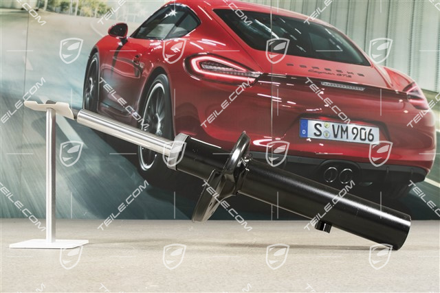 Stossdämpfer, Serienfahrwerk, L=R