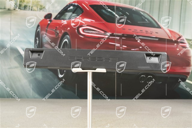 Podstawa tablicy rejestracyjnej, duża, mała, Sport Design Package