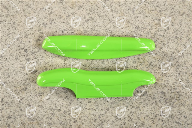 Vehicle key side faces / Key cap, Painted / lacquered, set Lizard green