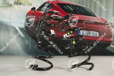 Schraubenfeder, Carrera 4, Kennzeichnung gelb/grün, Satz, L+R